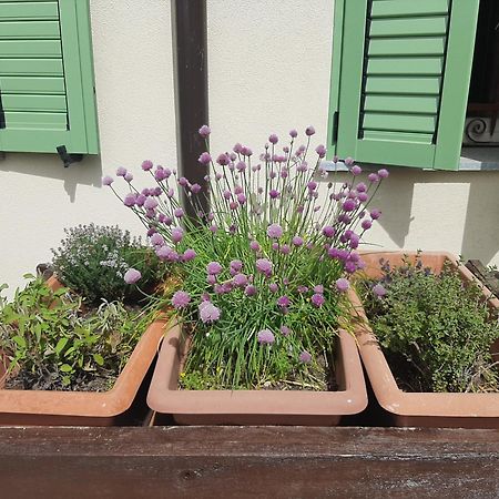 Cascina Teresina Monferrato Piscina Βίλα Cortazzone Εξωτερικό φωτογραφία