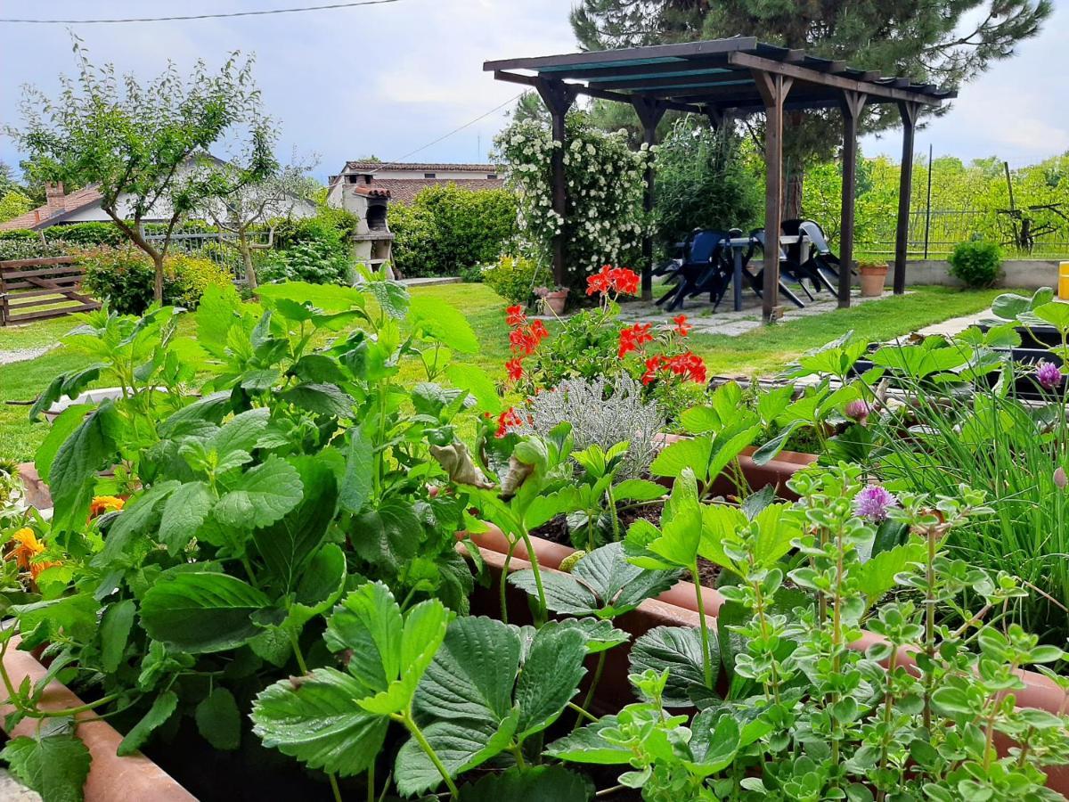 Cascina Teresina Monferrato Piscina Βίλα Cortazzone Εξωτερικό φωτογραφία