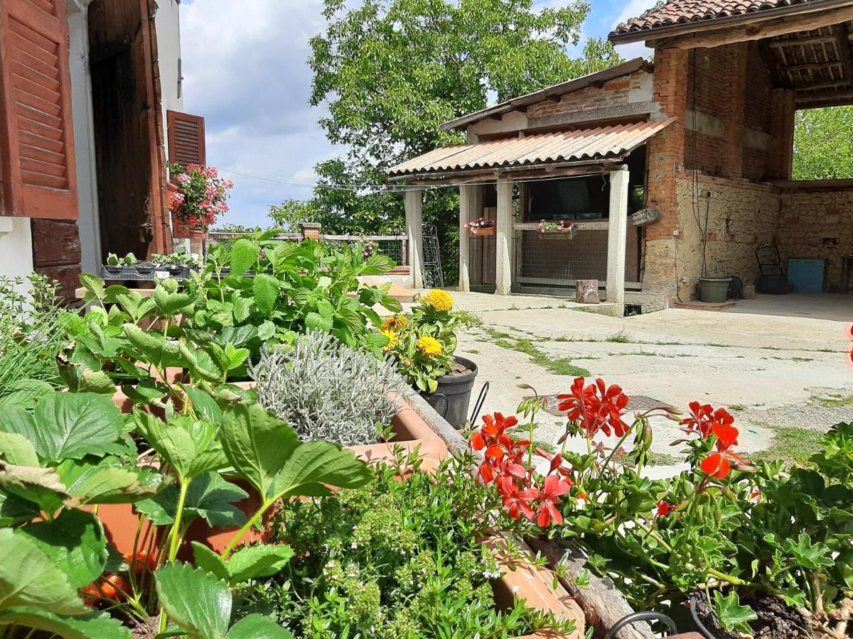 Cascina Teresina Monferrato Piscina Βίλα Cortazzone Εξωτερικό φωτογραφία