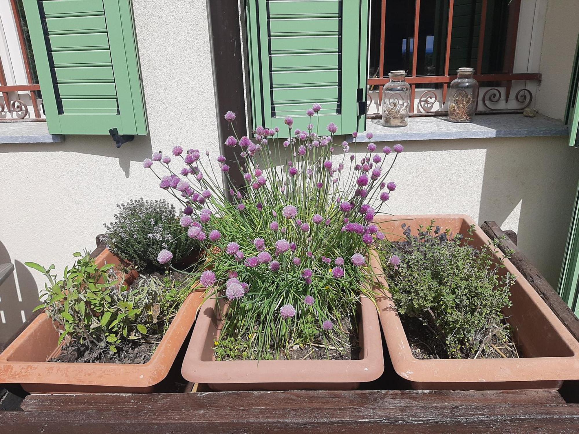 Cascina Teresina Monferrato Piscina Βίλα Cortazzone Δωμάτιο φωτογραφία