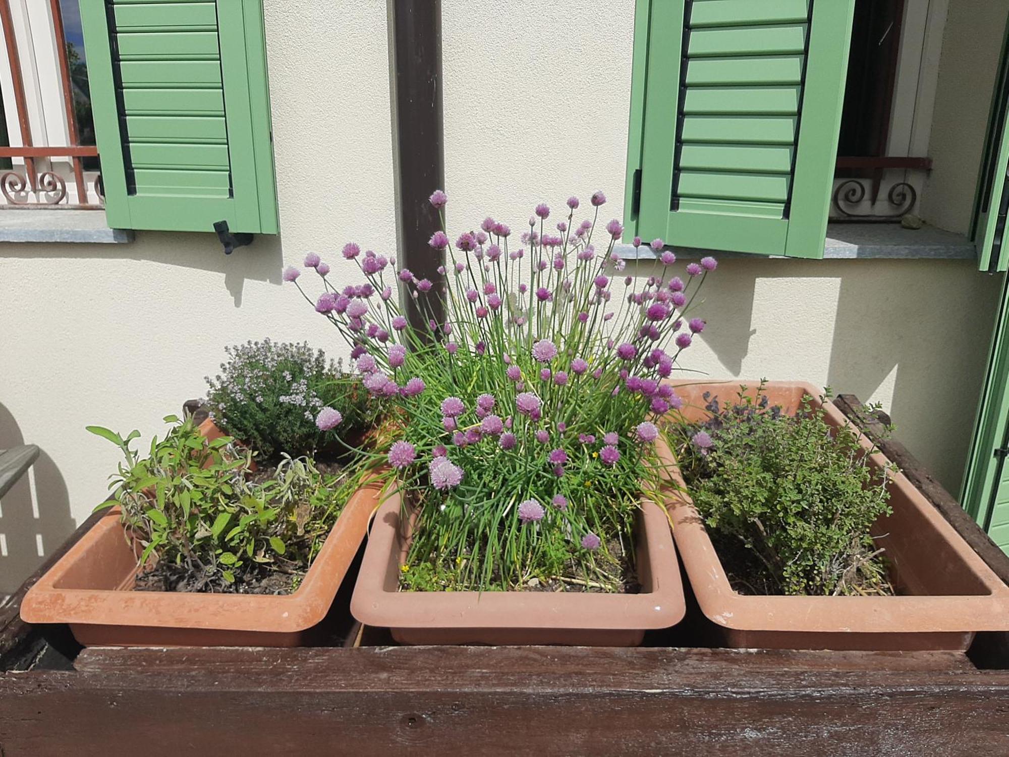 Cascina Teresina Monferrato Piscina Βίλα Cortazzone Εξωτερικό φωτογραφία
