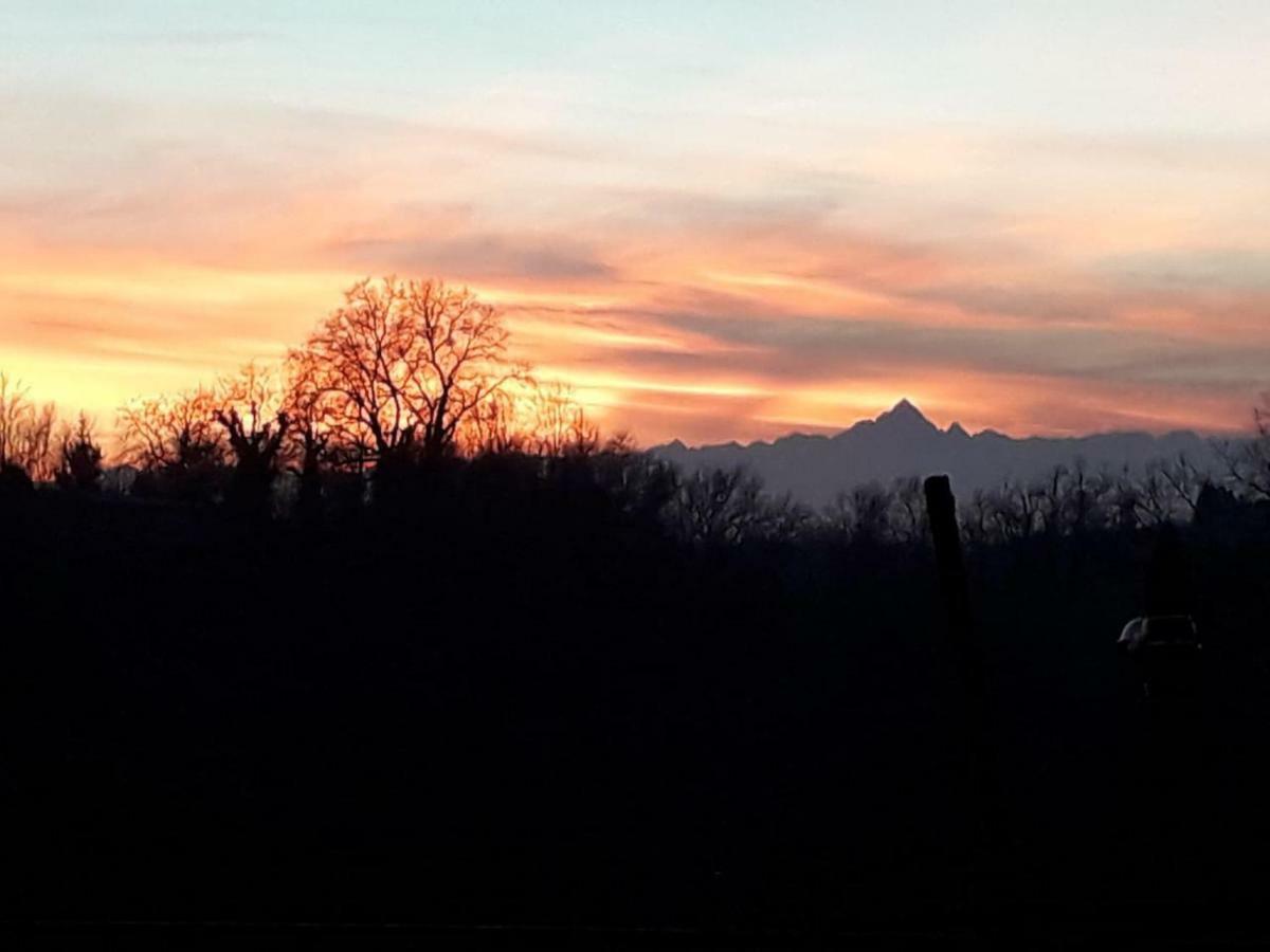 Cascina Teresina Monferrato Piscina Βίλα Cortazzone Εξωτερικό φωτογραφία